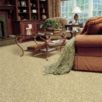 Anso Nylon with R2X carpet Anso Nylon with R2X carpet