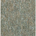 Dog Friendly Carpet
