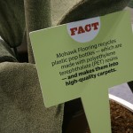 Environmentally Friendly Carpet Environmentally Friendly Carpet