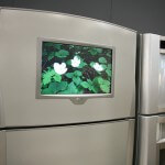 Options When Buying New Appliances